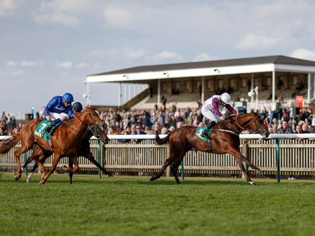 Laurens wins at Doncaster's St Leger Fesitval Laurens wins at Doncaster's St Leger Fesitval