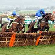 Hurricane Fly