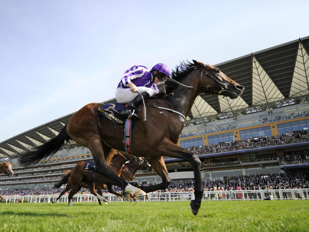 http//attheraces.com/fast-results http//attheraces.com/fast-results