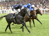 Caravaggio could be asked to conquer Everest in late-season adventure