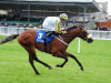 Michael Halford in no hurry to map out Irishcorrespondent plan