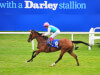Bookmakers favouring Enable for King George as Gosden set to make Wednesday call