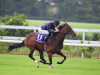 Aidan O'Brien favouring Debutante date over Morny heat for September