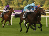 Champion three-year-old Almanzor retired