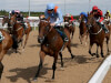Flymetothestars team issue ground warning ahead of Ebor date