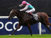 John Gosden feeling the pressure as Enable bids for Yorkshire Oaks glory