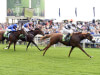 International mission accomplished for York star Ulysses