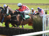 McConvilles accept guilt and 'lack of knowledge' over Cheltenham cobalt case