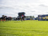 Friday's Ayr card cancelled with Saturday's fixture hinging on noon inspection