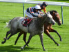 Magical Memory team mulling Golden Rose goal at Lingfield