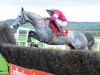 Petit Mouchoir makes winning start over fences at Punchestown