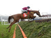 Road To Respect takes Irish Daily Star Chase at Punchestown