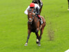 John Gosden challenges Cracksman to become a true Champion at Ascot
