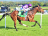 Aidan O'Brien has Derby big guns in line for Doncaster