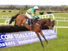 Great Field misses Punchestown after suffering setback