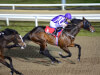 O'Brien feels Moore is likely to chase Kentucky Derby dream on Mendelssohn