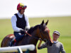 Sir Michael Stoute rules out Guineas run for Veracious following a setback