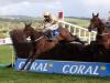Bellshill proves Gold-en for Willie Mullins at Punchestown