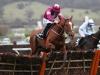 Samcro primed to take Champion Hurdle test at Punchestown