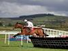 Vet charged by BHA with passing Faugheen inside information