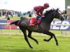 John Gosden confirms Roaring Lion set to run in Derby