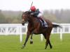 Coronation Cup-bound Cracksman ‘twice the horse he was’