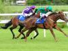 Frankie Dettori booked to ride Hazapour in the Derby