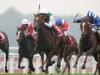Without Parole finds more to stay unbeaten in Heron Stakes