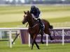 Aidan O’Brien quartet takes on Elarqam in Irish 2,000 Guineas