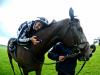 Alpha Centauri swoops to grab Guineas victory