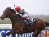 Cracksman takes aim at Prince of Wales’s Stakes
