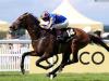Order Of St George primed for Gold run at Royal Ascot