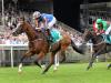 Clemmie ‘has come forward since the Guineas’, says Aidan O’Brien