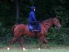 Redkirk Warrior ready for battle in Diamond Jubilee Stakes