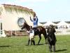 Commonwealth Cup prize goes to Eqtidaar