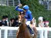 Irish Derby being considered for Ascot hero Persian