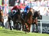 Derby winner Masar out for the season but will return at four