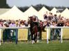 Aidan O’Brien readies Irish Oaks squad