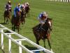 Magic Wand still in Irish Oaks mix