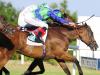 Turret Rocks floors Hazapour and company at Leopardstown