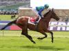 Turret Rocks floors Hazapour and company at Leopardstown