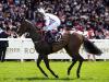 Little Kim aiming to be Super Sprint hit at Newbury