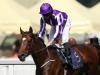 Kew Gardens in the frame for King George outing at Ascot