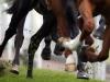 Ballinrobe’s Flat future to be discussed following Monday abandonment