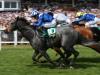 Richard Hannon expecting bold Hungerford show from Yafta