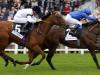 Projection team Hopeful of Newmarket success