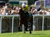 Michael Bell and Pretty Pollyanna bid for Morny glory