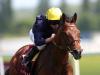 Connections to consider drop in trip for Crystal Ocean