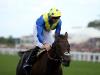 Stars align for stellar Juddmonte International at York