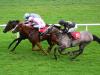 Archie Watson keen to return to Ireland with Snowy Winter
